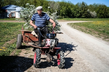 Майские будни... / ***