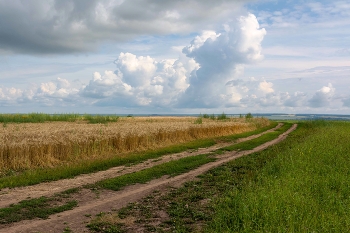 летний день / лето, Ивановская область
