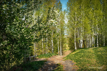 Весна у старой скамейки / мой край