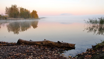Бревно / Бревно