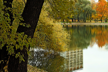 Пруд Садки / Пруд Садки в Москве. Октябрь 2023.