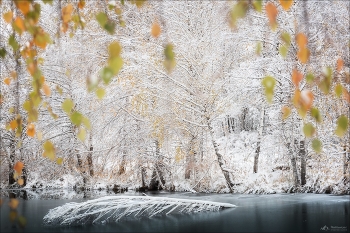 Пёрышко .. / Безымянный водоем в Чарышском районе Алтайского края.
© https://phototravel.pro