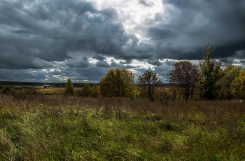 перед грозой / лето, Подмосковье