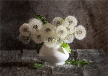  / https://irina-pro-photo.ru/still-lifes