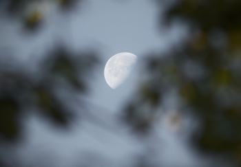 Лунное / ***