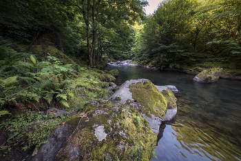 Stones In Chakvistskali River / Джунгли Мтиралы
