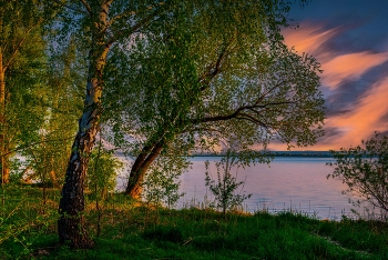 Берёзонька провожает день. / ***