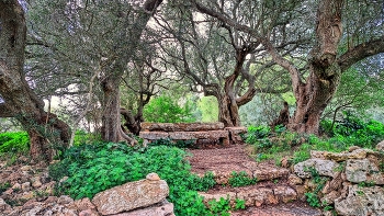  / Ferreries - Torretrencada poblat talaiòtic (detall) - Menorca (Balears)