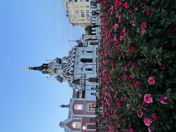 Вечерний Саратов / ***