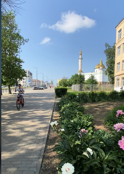 Солнечный день, мальчуган - велосипедист и отличное настроение / Мальчуган - велосипедист решил сделать трюк и удачно вписался в кадр фотографии.