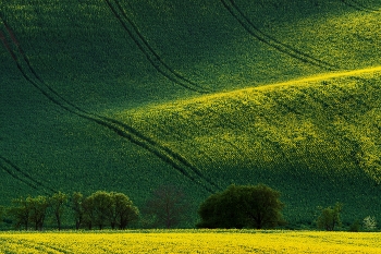Волны / ***