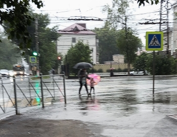 Дождь / ***