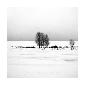 III_ii / ***