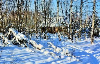 &quot;Вечор, ты помнишь, вьюга злилась, на мутном небе мгла бесилась...&quot; / ***