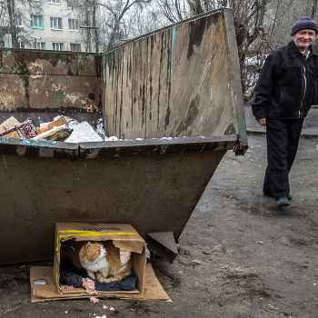 Дашь ещё, да?!. / Мимокрокодил))
