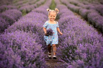 &nbsp; / Children's photo session in a lavender field