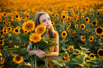 &nbsp; / Children's photo session in a field of sunflowers