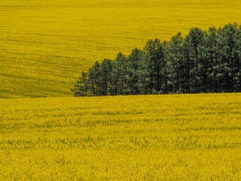  / /\/\/\/\