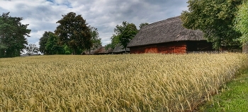Деревенские зарисовки. / ***