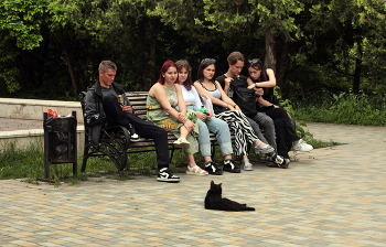 глава коТреля...))) / ***