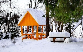 Глухозимье / Валдайский сюжет. Январь 2011год.