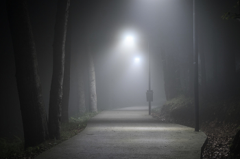 Night Misty Road / К ночи на город опустились влажные облака накрыв загадочностью тропы и дорожки