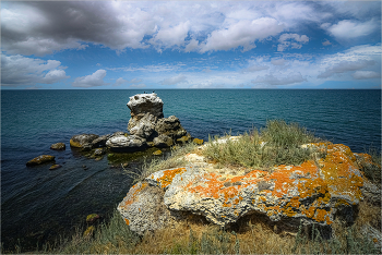 Берег Азова / Азовское море