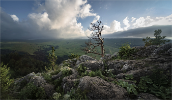 В горах / Адыгея
