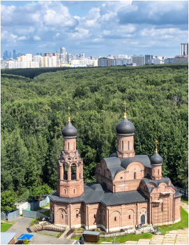 Храм Великомученицы Анастасии Узорешительницы в Теплом Стане / ***