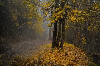 Осенняя дорога в горах / Архыз