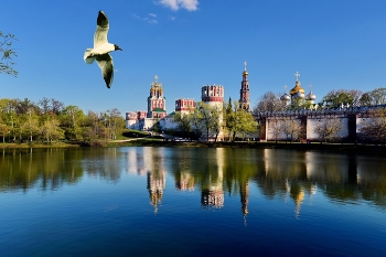 Новодевичий монастырь / Великий князь Василий III не забыл свой обет, и через десять лет — 13 мая 1524 года в благодарность за овладение Смоленском в 1514 году им была основана Великая обитель Пречистой Богородицы Одигитрии Новый Девичий монастырь с соборным храмом во имя Смоленской иконы[3].

Место для обители было выбрано в излучине Москвы-реки, в трёх верстах от Московского Кремля на Девичьем поле, именно там, где в 1456 году москвичи прощались со Смоленской иконой[3].

На устроение обители князь пожаловал 3000 рублей серебром, дворцовые сёла, земельные угодья и даровал ей «несудимые грамоты», которые освобождали монастырь от податей в казну[3].

По его повелению 28 июля 1525 года из Кремля в «Дом Пречистыя Одигитрии Новый Девичий монастырь» крестным ходом, во главе которого шли сам Василий III и митрополит Даниил, была перенесена Смоленская икона Пресвятой Богородицы[3]. В память перенесения чудотворной иконы был установлен ежегодный праздник с крестным ходом из Кремля в Новодевичий монастырь.