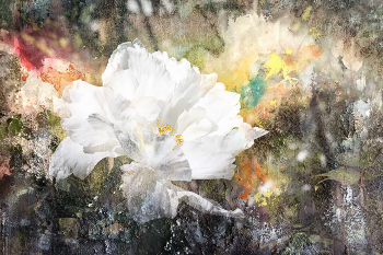 Fantasy with a peony / 2025