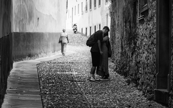frustratio / ***