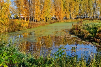 осень / **Сузун*