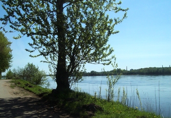 Нева / Ленинградская область