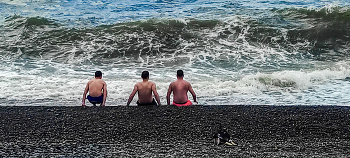 Трое у моря не считая собаки / #Батуми #Грузия #море #собака август 2025.