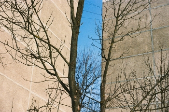 Небо / ***