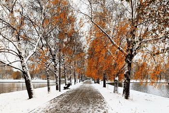Поздняя осень / Москва. Осень в парке Дружбы