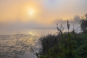 Осенью. / Озеро Сосновое.