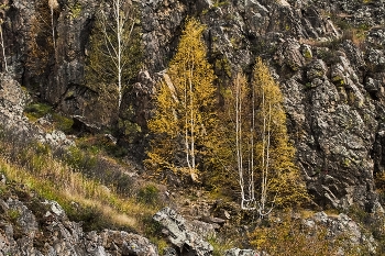 Среди скал. / ***