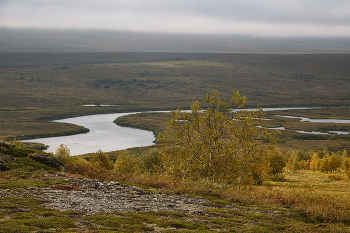  / Полярный Урал, территория Собь. Осеннее утро.