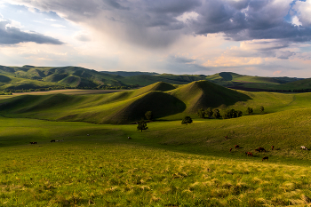 Прогулки по Уралу / ***