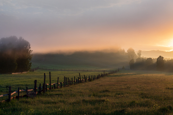 Туманное утро / ***