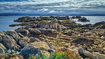 &nbsp; / San Vicente do Mar - O Grove - el sendeiro de Pedras Negras - Pontevedra