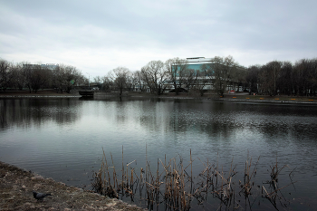 Садки / Пруд Садки в парке стадиона Москвич. Апрель 2024.