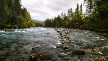 Хмурый вечер / Хибины, река Гольцовка, сентябрь