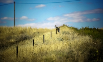 ... где-то в степях... / степи Волгоградской области