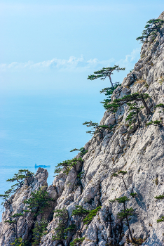 Ай-Петринская яйла. / ***