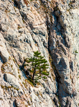 Ай-Петринская яйла. / ***