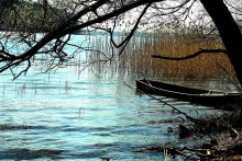 Браслав-весна 2009 / ....00